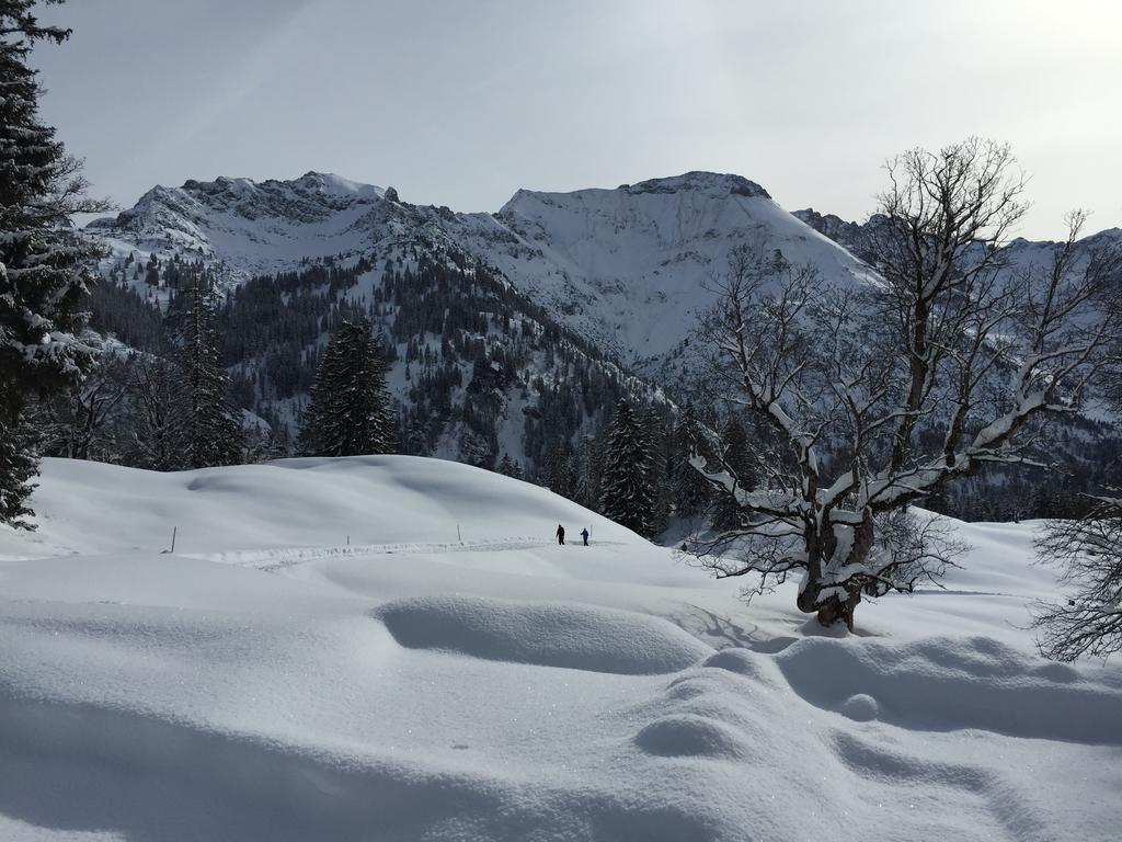 Hotel-Gasthof Der Wiesengrund Bad Hindelang Exteriör bild